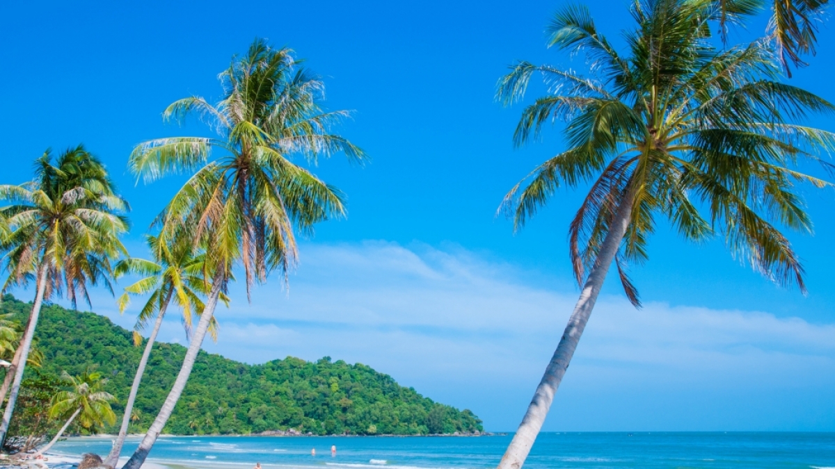 Auf der vietnamesischen Insel Phu-Quoc wollten die Auswanderer Ngoc und Thomas Mildenberger neu anfangen. (Foto)
