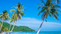 Auf der vietnamesischen Insel Phu-Quoc wollten die Auswanderer Ngoc und Thomas Mildenberger neu anfangen.