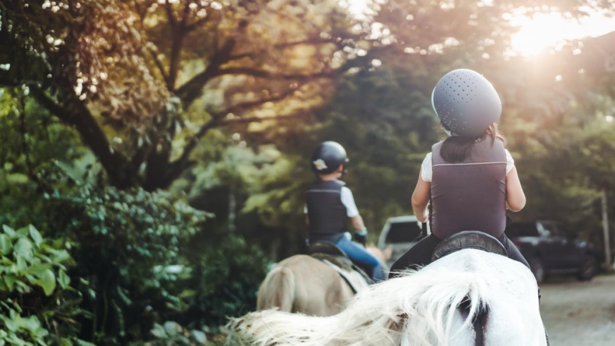 Ein M&auml;dchen (2) st&uuml;rzte von einem Pony und verletzte sich dabei t&ouml;dlich. (Symbolfoto) (Foto)