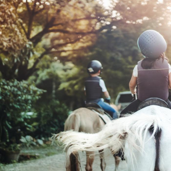 Horror-Sturz! Mädchen (2) stürzt von Pony - tot