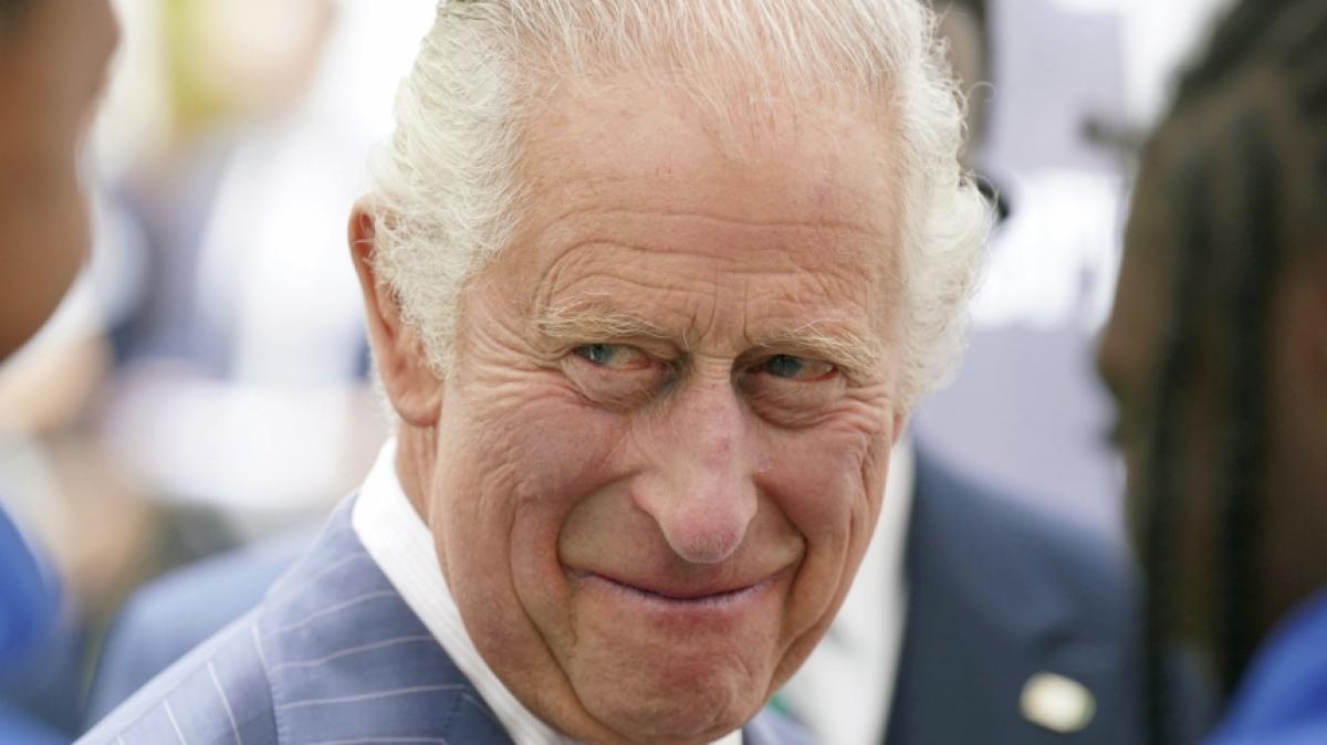 Ist K&ouml;nig Charles nur ein Platzhalter? (Foto)