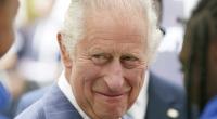 Ist König Charles nur ein Platzhalter?