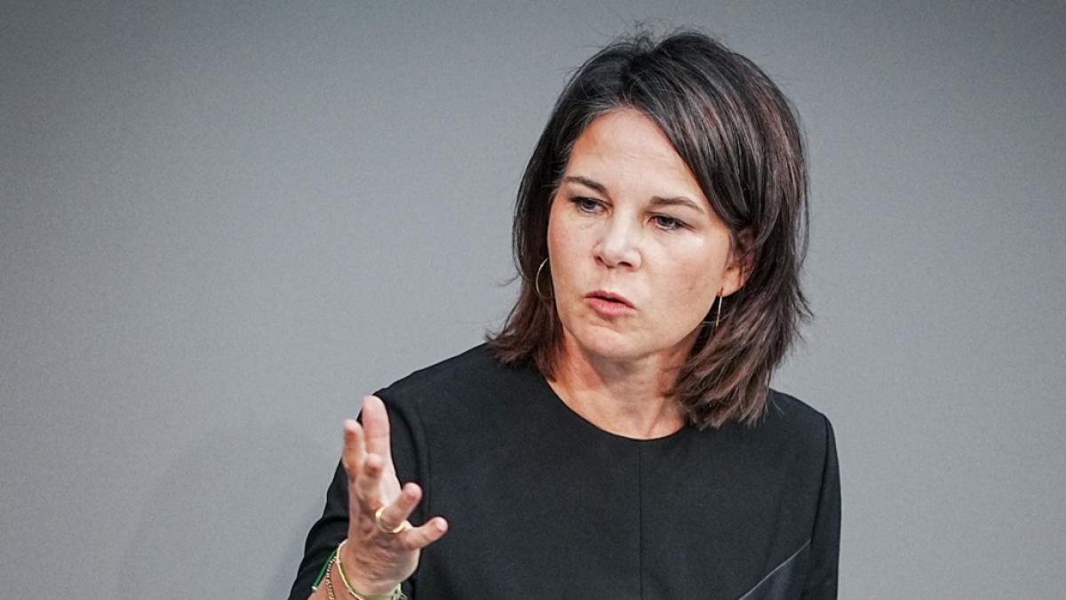 Annalena Baerbock teilt privates Foto und erntet Kritik. (Foto)