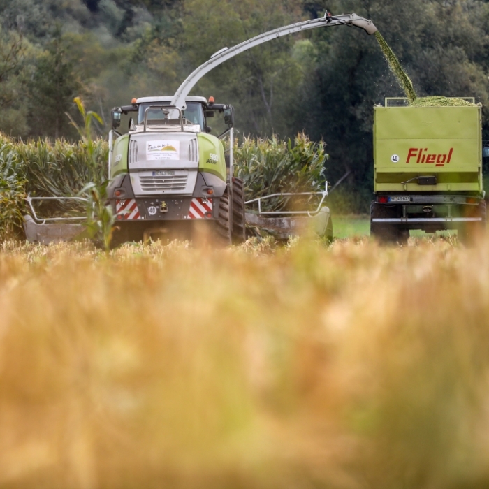 Horror-Fund bei der Ernte! Bauer findet Leiche im Feld