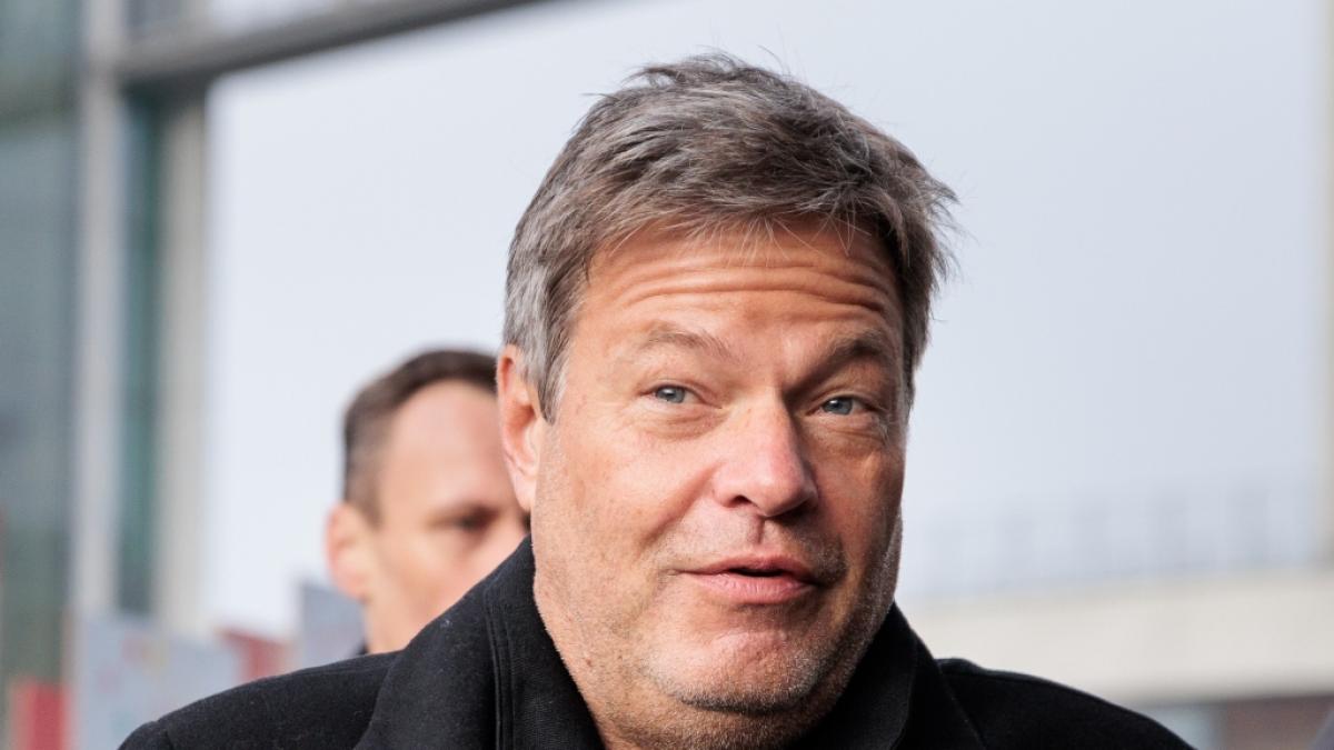 Robert Habeck wurde von einem CDU-Mitglied "frauenfeindliche" Politik vorgeworfen. (Foto)