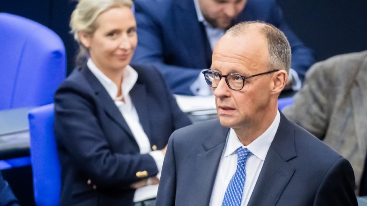 Die aktuellen Umfrage-Ergebnisse zeigen, dass die AfD immer st&auml;rker wird. (Foto)