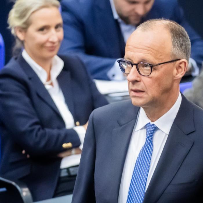 AfD-Aufstieg nur eine Frage der Zeit? Kanzler-Panik nach Umfrage-Hammer