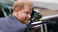 Nach seiner Rückkehr in seine US-amerikanische Wahlheimat amüsierte sich Prinz Harry blendend - allerdings ohne seine Ehefrau Meghan Markle.