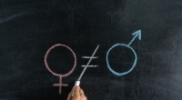 Eine australische Schule verurteilt Homosexualität und Transgender-Menschen. (Symbolfoto)