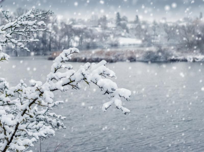 Weiße Weihnachten in Gefahr: El Niño beeinflusst Prognose - droht ein Winter ohne Schnee?