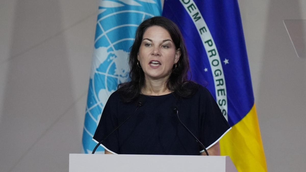 Annalena Baerbock wird erneut kritisiert. (Foto)
