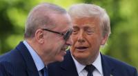 Der türkische Präsident Erdogan führt den vermeintlich umherwandernden Trump nach dessen Ankunft in Ankara.