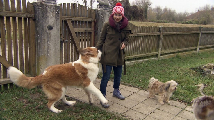 "Anna und die Haustiere" am Samstag verpasst?: Wiederholung der