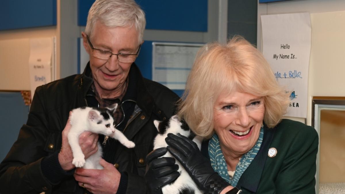 Paul O'Grady ist gestorben. (Foto)