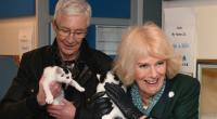 Paul O'Grady ist gestorben.