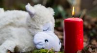 Sheldon Farnell (4) ist nach einer Fehldiagnose gestorben.