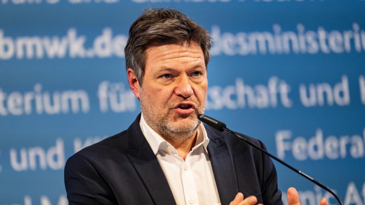 Robert Habeck soll ein Heizungsverbot planen. (Foto)