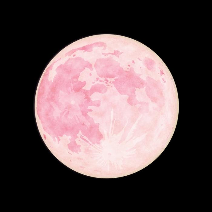 Riesiger Pink Moon erhellt heute den Himmel