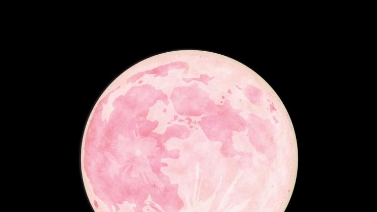 Rosa Vollmond Am 08 04 2020 Riesiger Pink Moon Erhellt Heute Den Himmel News De