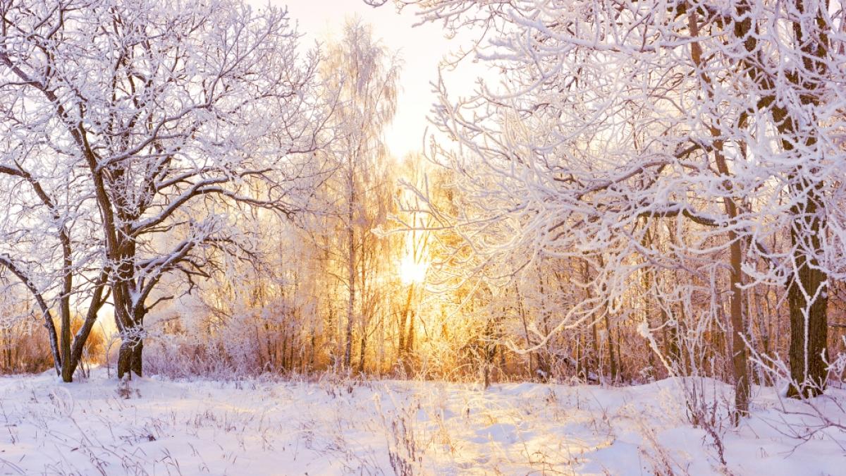 Wie wird das Wetter im Winter 2023/24? (Foto)