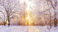 Wie wird das Wetter im Winter 2023/24?