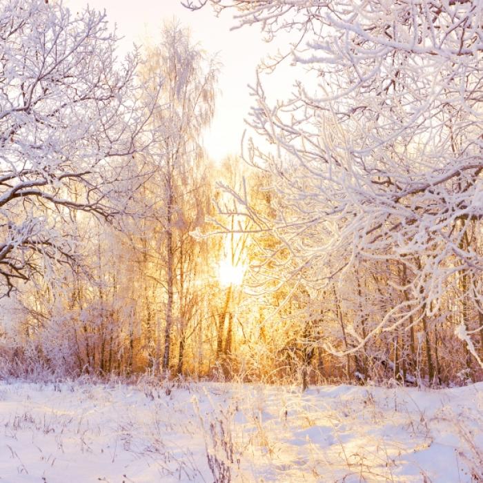 Droht uns bittere Kälte? DAS sagen Meteorologen und der Hundertjährige Kalender