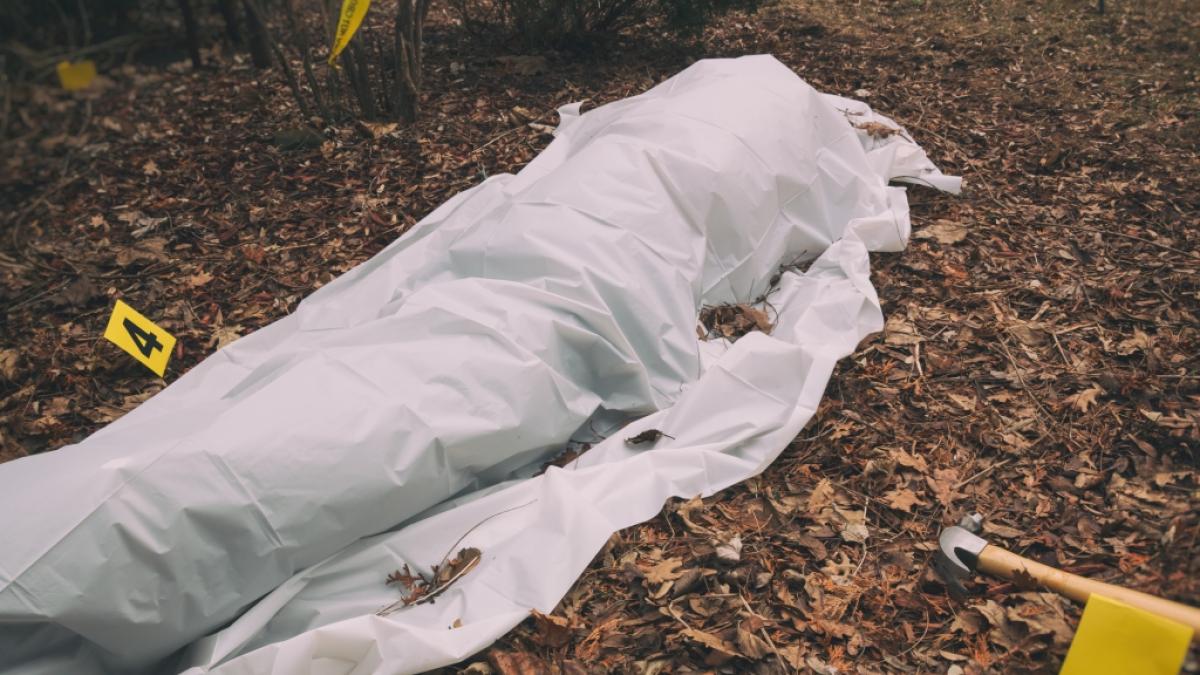 In&nbsp;Devon, England, wurde eine Frauenleiche mit abgetrenntem Kopf gefunden. Nun gibt es erste gerichtsmedizinische Untersuchungen zu dem Fall. (Foto)
