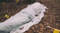 In Devon, England, wurde eine Frauenleiche mit abgetrenntem Kopf gefunden. Nun gibt es erste gerichtsmedizinische Untersuchungen zu dem Fall.