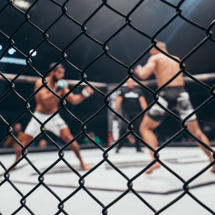 Neuer Heavyweight-Champ! Ngannou holte sich den Sieg beim UFC 270