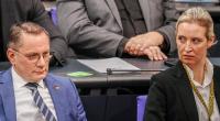 Die AfD stürzt in einer neuen Umfrage erneut ab.