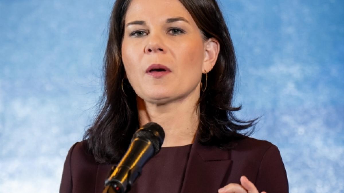 Annalena Baerbocks Kritik kam in China nicht gut an. (Foto)
