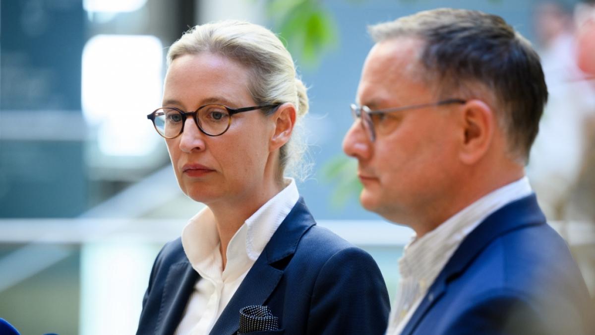 Die AfD hat ein Viertel der Stimmen verloren. (Foto)