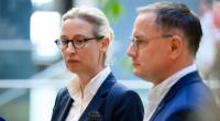 Die AfD hat ein Viertel der Stimmen verloren.