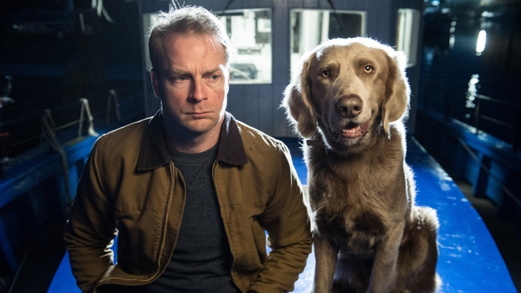 Gemeinsam am Grübeln: Tierarzt Hauke Jacobs und Hund Holly.