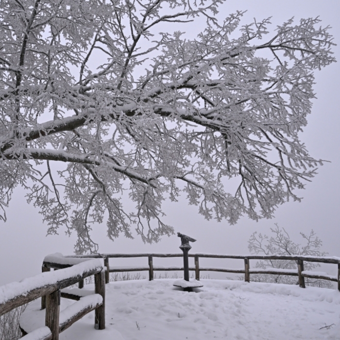 DWD - Frost & Nebel im Freistaat möglich