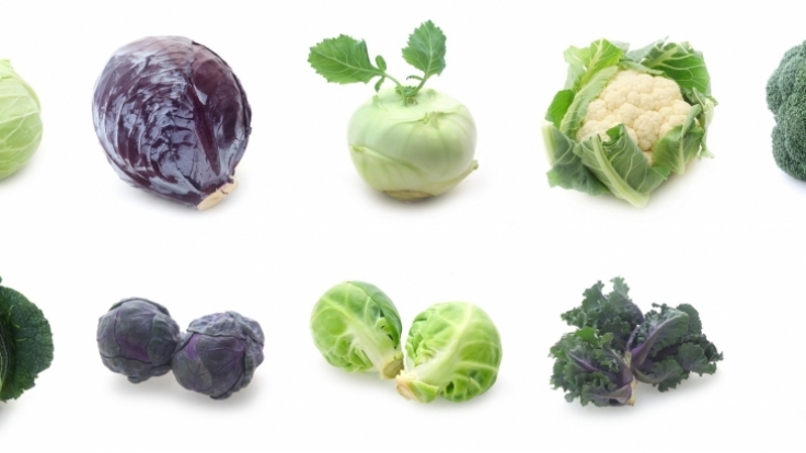 Der Knaller in diesem Jahr: Kohl!