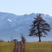 Beschauliches Allgäu - Drogenumschlagplatz Europas.