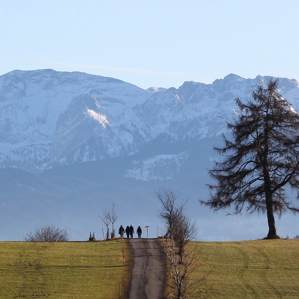 Koks-Paradies Allgäu: Hier rieselt der Schnee!