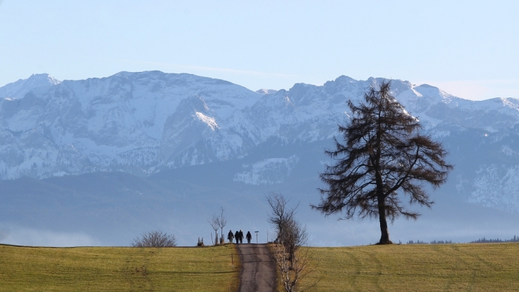 Beschauliches Allgäu - Drogenumschlagplatz Europas.