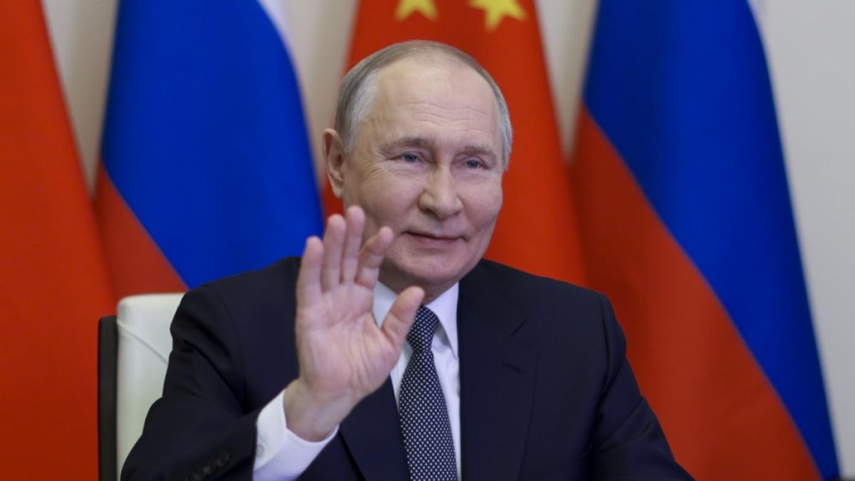 Stellt Wladimir Putin seinen Truppen mittlerweile sogar Esel zum Munitionstransport zur Verf&uuml;gung? (Foto)