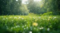 Der Sommer zeigt sich in dieser Woche zweigeteilt.