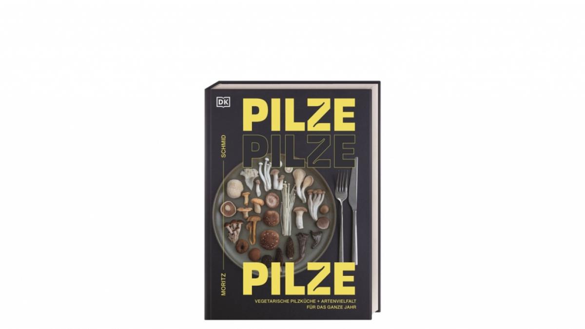 "Pilze, Pilze, Pilze" von Moritz Schmid (Foto)