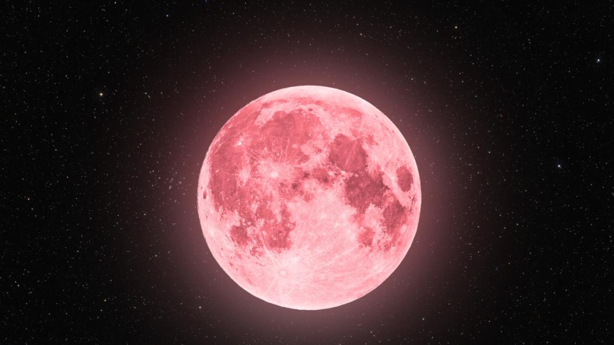 Ein pinker Supermond leuchtete am Dienstag am April-Himmel. (Foto)