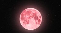 Ein pinker Supermond leuchtete am Dienstag am April-Himmel.