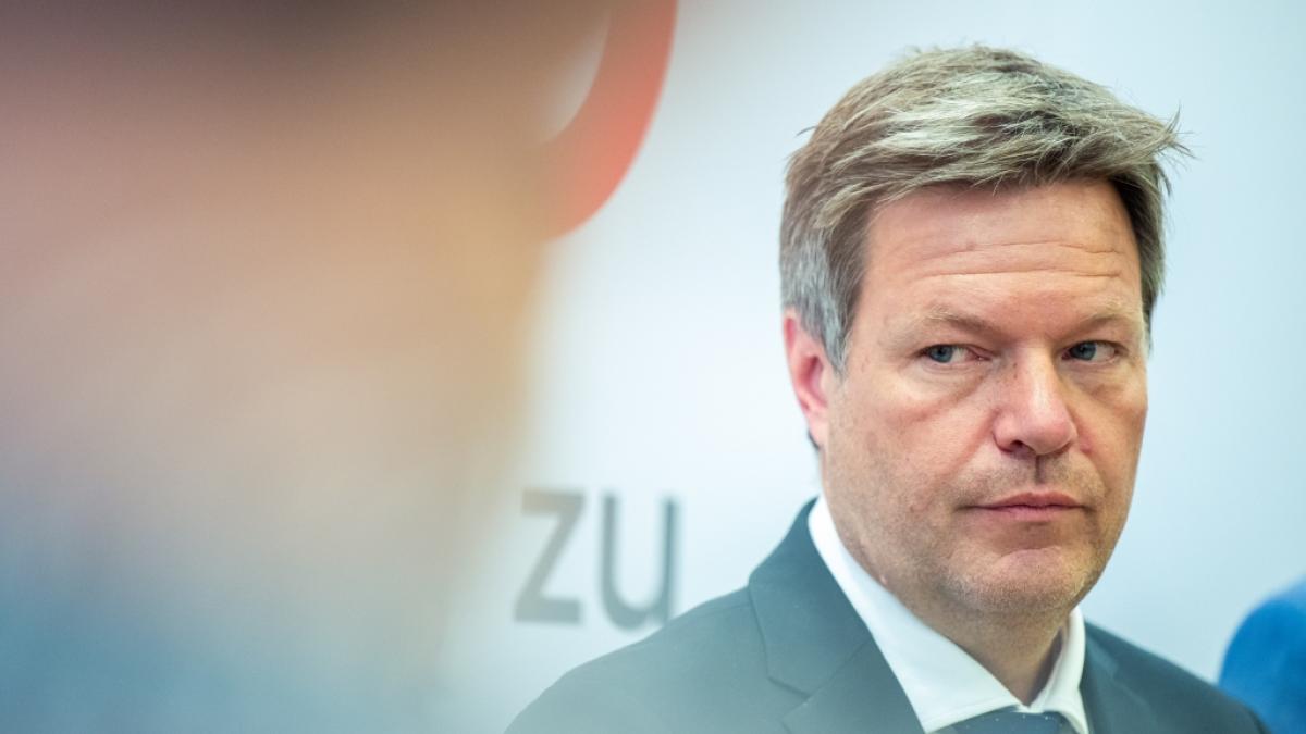 Wirtschaftsminister Robert Habeck will eine schwere Gaskrise in Deutschland verhindern. (Foto)