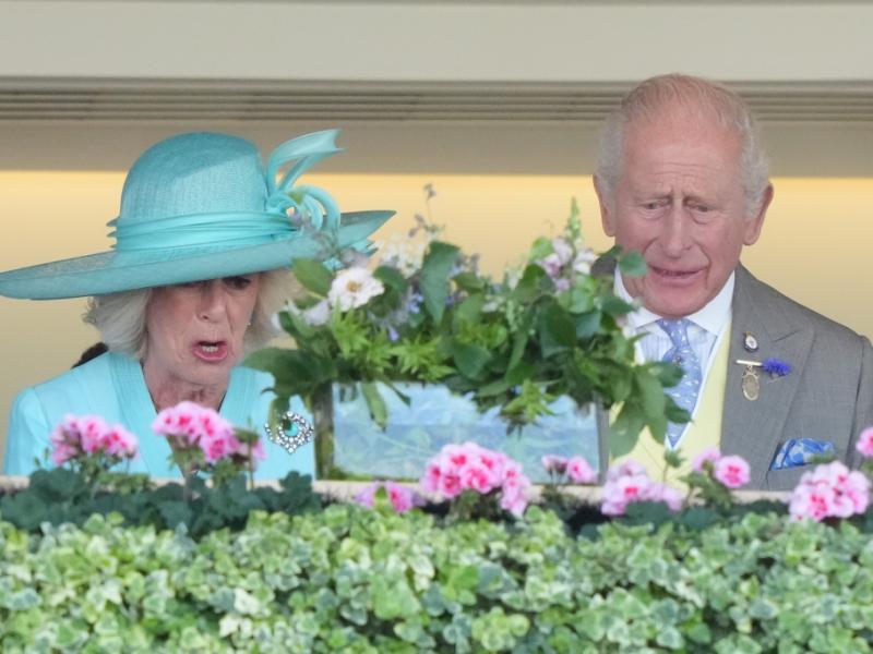 Königin Camilla genervt: "Ich fange plötzlich an zu weinen!" König Charles III. treibt Camilla zur Weißglut
