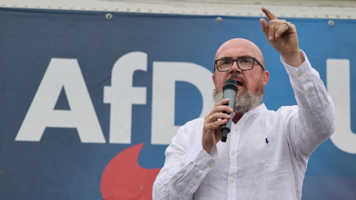 AfD: Vor Sachsen-Anhalt-Wahl warnt die Partei vor Stimmenklau (Foto)