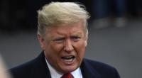 Donald Trump: US-Präsident wird zur Zielscheibe – Pferdemist-Porträt sorgt für Eskalation im Netz