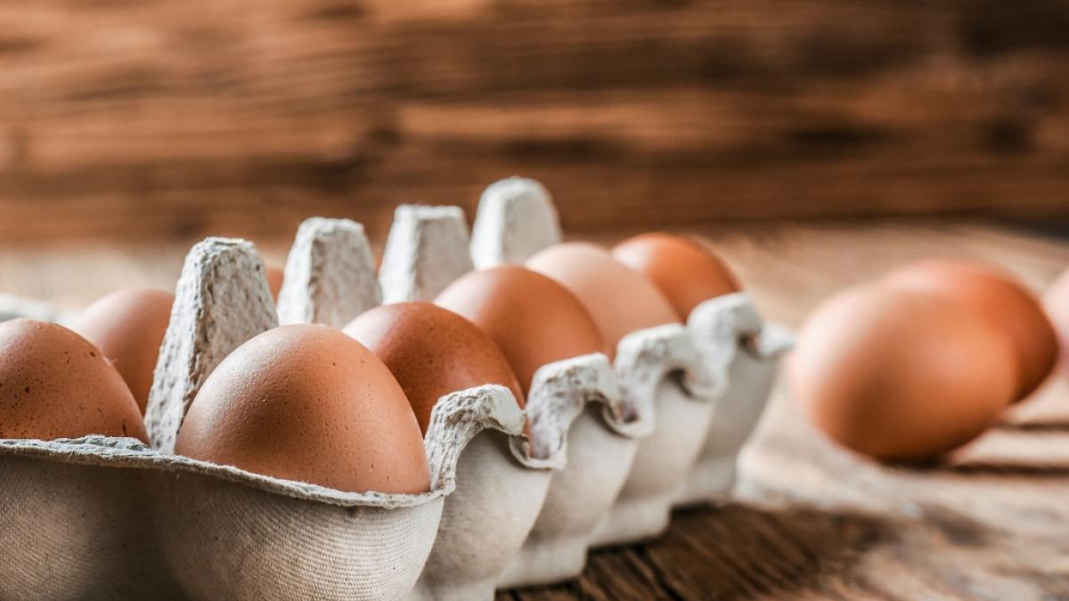 &Ouml;kotest hat 20 Eier-Marken untersucht. (Foto)