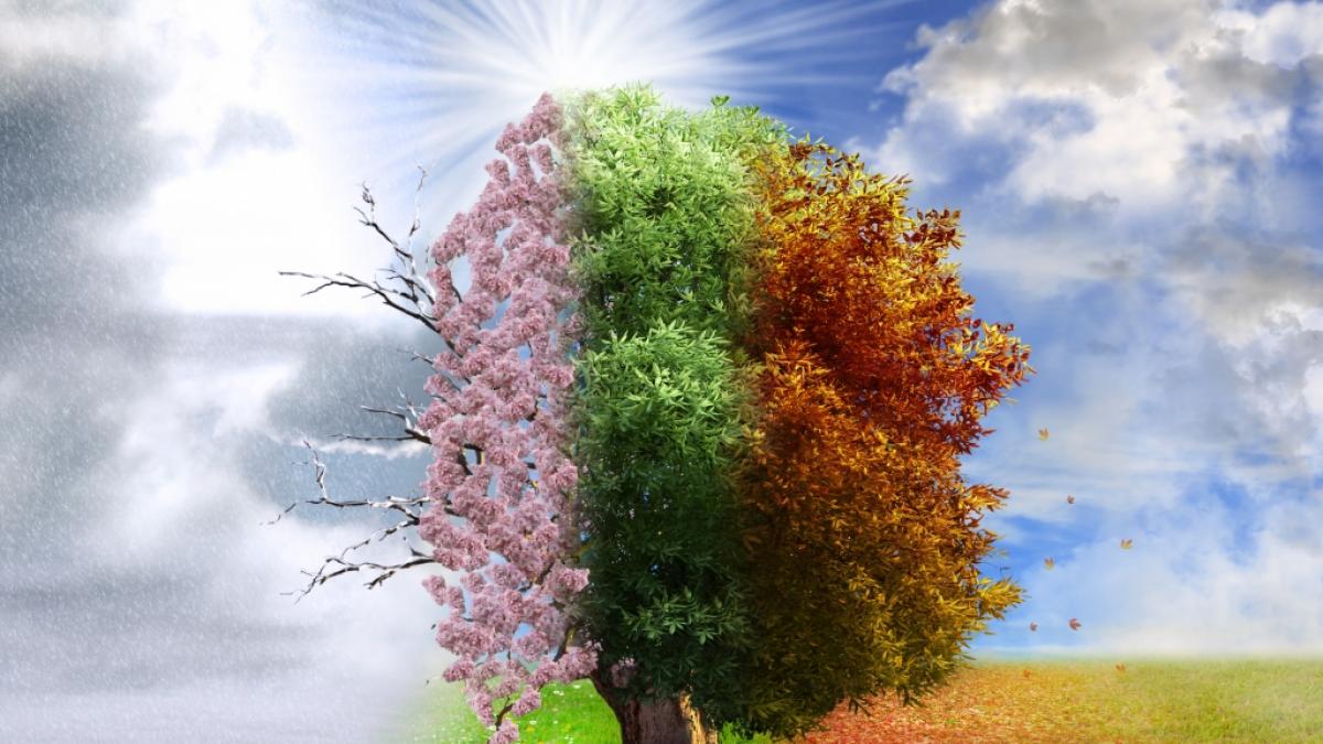 Welches Wetter prophezeit der Hundertj&auml;hrige Kalender f&uuml;r 2020? (Foto)